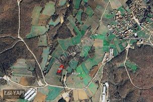 Yarış Köyünde Orman İçerisinde 2100 M2 Fırsat Bahçe