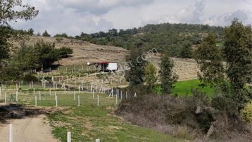 Salbaş Pirilide 250 M2 Tel İle Çevrili Arsa