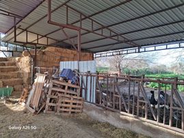 Sahibinden Satılık Hayvan Çiftligi