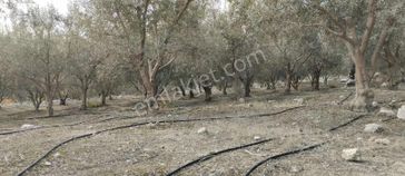 New Form'dan Çelebili Köyünde Satılık Arazi