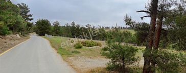 Geyve Sekiharmanda 1.865 M² Satılık Yola Cepheli Tarla