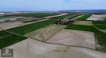 Akpınar'da 72.745m2 Yola Cephe | Ticari Ruhsat Alınabilir