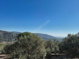 Aslan'dan Villa Yapımına Uygun İmarlı 885 M2 Kupon Arsa