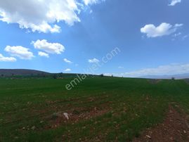 Meram Sarıkızda Müstakil Tapulu 8.202 M2 Tarla