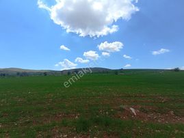 Meram Sarıkızda Müstakil Tapulu 8.202 M2 Tarla