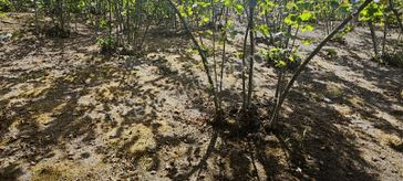 Aker Emlaktan Harika Manzara