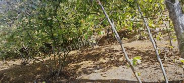 Aker Emlaktan Harika Manzara