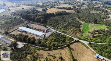 Cebesoy Emlak'tan Turnalı Mahallesinde Müstakil Parsel