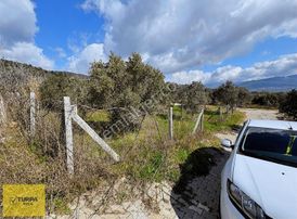 Turpa Buca'dan Çakırbeyliğinde 300 M² Tapulu Yer