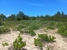 11 Dönüm Müstakil Tapu Bağ