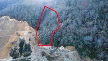 Trabzon Sürmene'de Satılık Arazi
