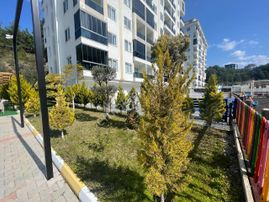 Дача На Средиземном Море В Сосновом Лесу