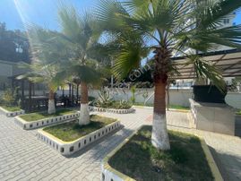 Дача На Средиземном Море В Сосновом Лесу