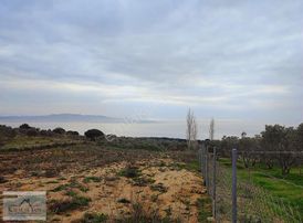 Yalova Armutlu Da Full Manzaralı Satılık Tarla