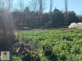 Mahmutlar Mah. Satılık 1.300m2 İmarlı Arsa