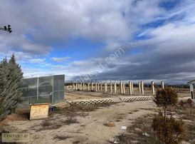 Gökçehöyükte Haymana Bulvarı Cepheli Satılık Sera