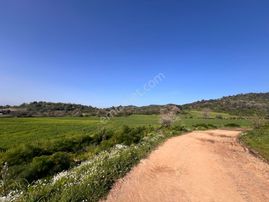 Milas Kemikler Satılık Tarla