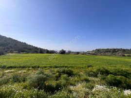 Milas Kemikler Satılık Tarla