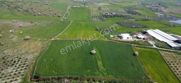 Tire De Merkez Yakın Emsalsiz Tarla