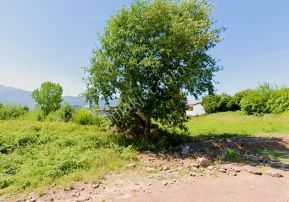 Kartepe Sarımeşede Satılık Konut İmarlı Arsa