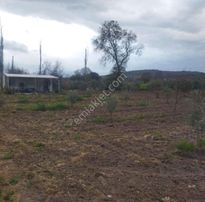Acil Satılık Bağyolunda Tarla