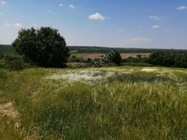 Silivri Büyükçavuşlu'da Satılık Tarla