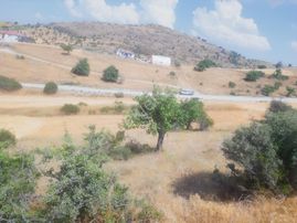 Temelli Hisarlıkaya Yola Cephe Satılık Bağ