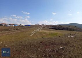 Alırken Kazanmanın Adresi ''fırsat Müzayede''