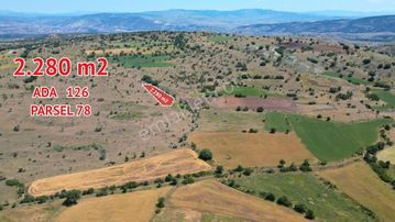 Korgun Marufta 5 Adet Parsel İster Toplu İster Tek Parça