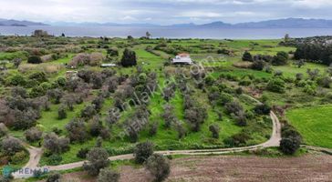 Premar Datça Kızlan'da Satıklık 929m² Tarla-denize Yakın!
