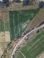 Bağlıca Köyü Tarla