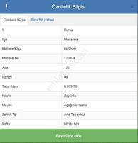 Cb Black'ten Mudanya Halilbey'de Satılık Arazi