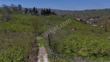 Ordu Kökenli Mahallesinde Satılık Arsa