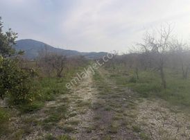 Dalaman Kargınküründe Satılık Verimli Tarla