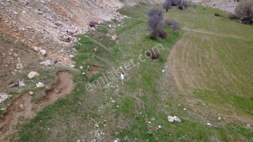 Erzincan İliç Ortatepe Köyünde Satılık Tarla