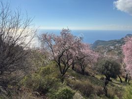 Muhteşem Deniz Manzaralı Arsa