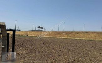 Aliağa Helvacı'da Satılık 2500 M2 Tek Tapu Tarla