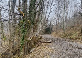 Kabakoz'da Ana Cadde Üzerinde 190m2 Resmi Yollu Arsa
