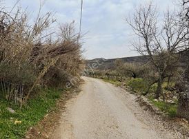 Kozbeylide 1976 M2 Satılık Tarla