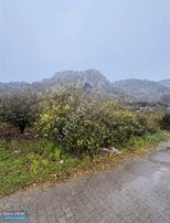 Muğla Ortaca Karadonlar Mahallesinde Satılık Arsa