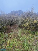 Muğla Ortaca Karadonlar Mahallesinde Satılık Arsa