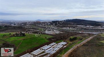 Pendik Kurna Mah. 1. Bölge İmar Planın Da Satılık Bahçe