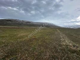 Ağrı Patnos'ta Satılık Tarla