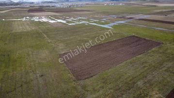 Ağrı Patnos'ta Satılık Tarla