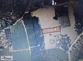 Bursa İznik Çiçekli Mh Arsa