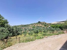 Aydın Yenipazar’da Doğayla İç İçe Satılık Köy Evi