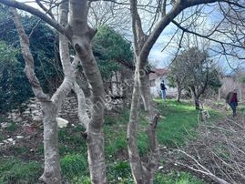 Kocaali'de Deniz Manzaralı, 3 Kat Yapı Yapılmasına Uygun Arsa