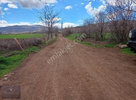 Suşehri Kemalpaşada 10.603 M² Yatırımlık Tarla