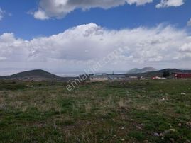 Hacılarda Satılık Hisse....