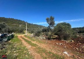 Didim Kardelen Mevki De Satılık Kelepir Arsa